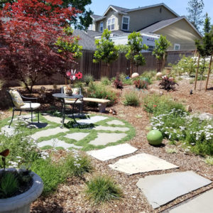 Cotati Country Style Garden01