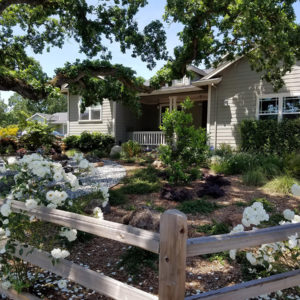 Cotati Country Style Garden05