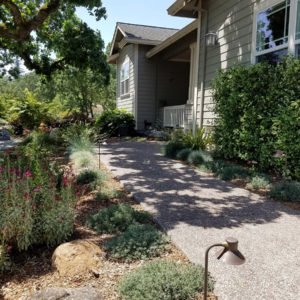 Cotati Country Style Garden06
