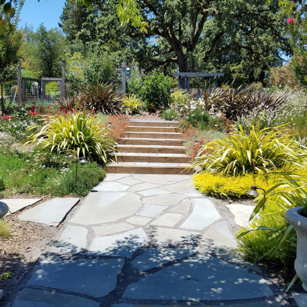 Cotati Country Style Garden07