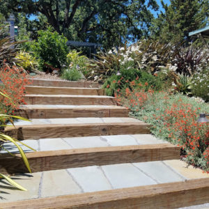 Cotati Country Style Garden09