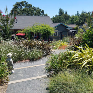 Cotati Country Style Garden12