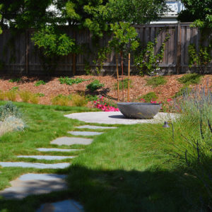 Petaluma Back Yard Garden04