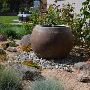 Petaluma Back Yard Garden05