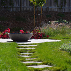 Petaluma Back Yard Garden06