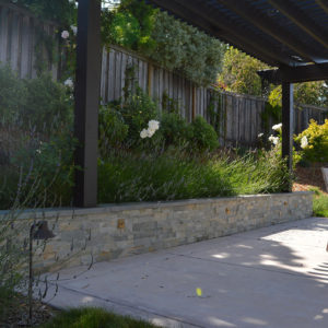 Petaluma Back Yard Garden07