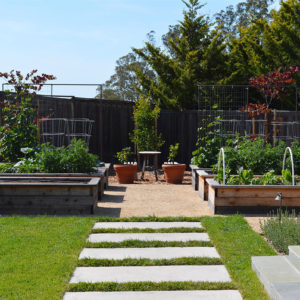 Petaluma Back Yard Garden09