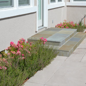 Petaluma Back Yard Garden10