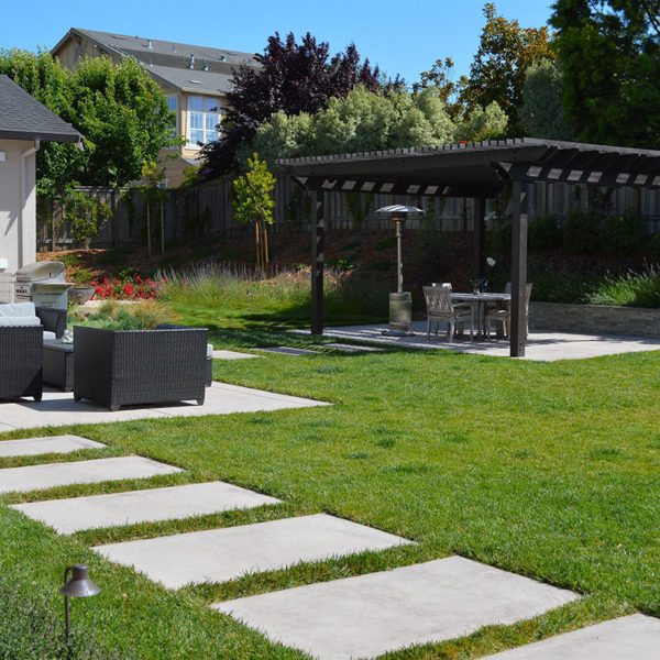 Petaluma Back Yard Garden11