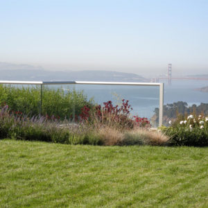 Tiburon Green Roof and Pool House01
