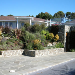 Tiburon Green Roof and Pool House03