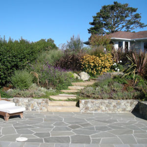 Tiburon Green Roof and Pool House05