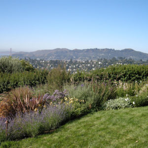 Tiburon Green Roof and Pool House07