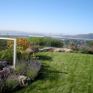 Tiburon Green Roof and Pool House09