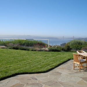 Tiburon Green Roof and Pool House12