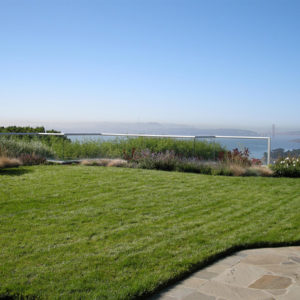 Tiburon Green Roof and Pool House13