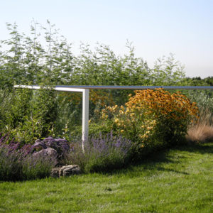 Tiburon Green Roof and Pool House14