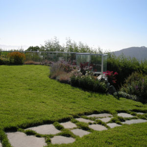 Tiburon Green Roof and Pool House15