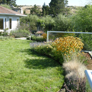 Tiburon Green Roof and Pool House18