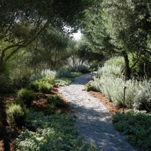 Tiburon Green Roof and Pool House19