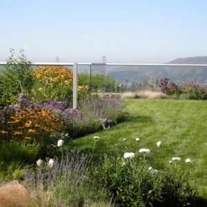 Tiburon Green Roof and Pool House20