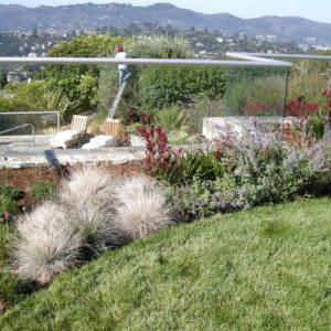 Tiburon Green Roof and Pool House21