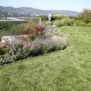 Tiburon Green Roof and Pool House22