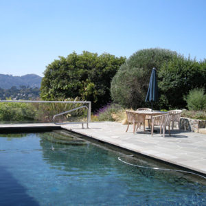 Tiburon Green Roof and Pool House24