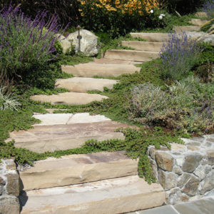 Tiburon Green Roof and Pool House25