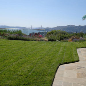 Tiburon Green Roof and Pool House26