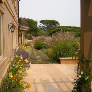 Tiburon Mediterranean Garden03