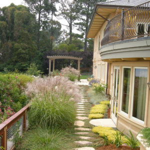 Tiburon Mediterranean Garden04