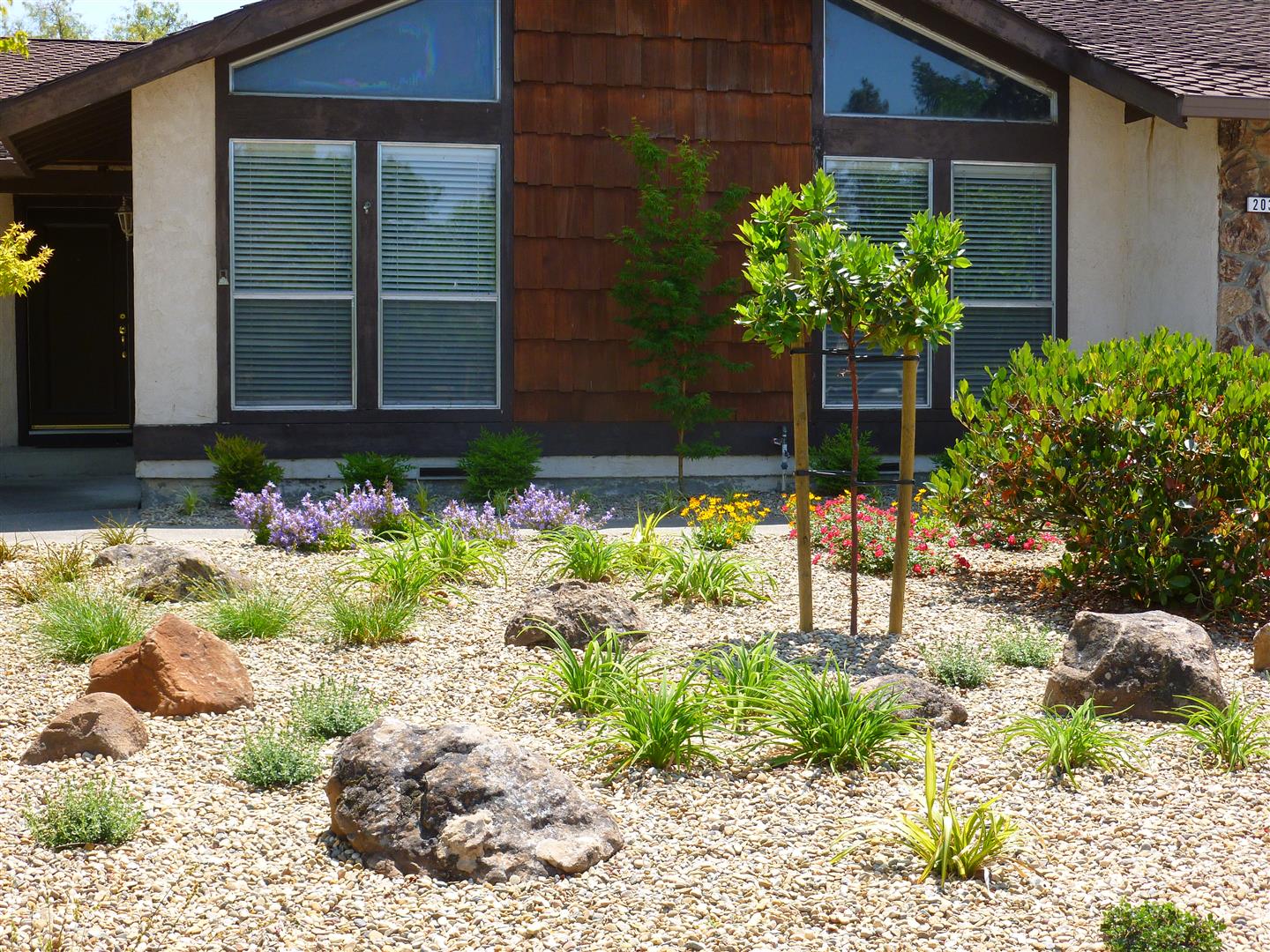 Front Yard Low Maintenance Plantings   Turned Earth