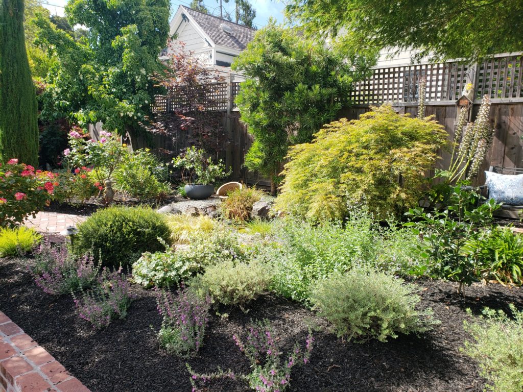 Petaluma D Street Refresh Turned Earth